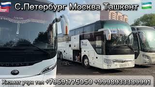 Москва Ташкент автобус МОСКВА ТАШКЕНТ АВТОБУС