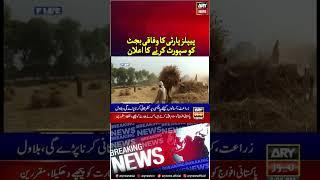 PPP Support Federal Budget 2025 #bilawalbhutto  #ppp #shorts