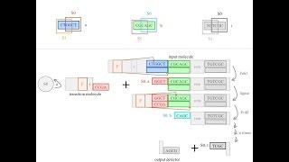 How do I build a finite state machine with biological parts?