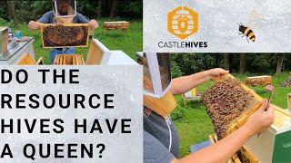 #beekeeping Hive Inspections & Resource Hives Queens - 4K