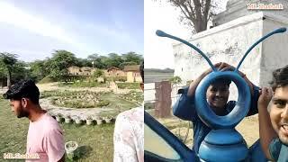 RAPDI ECOTOURISM CENTER Bateshwar | #MrShashank #vlog #shorts #trending #viral