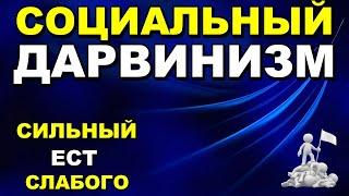 Социальный Дарвинизм - Классическое Определение Социального Дарвинизма - Сильный ест слабого