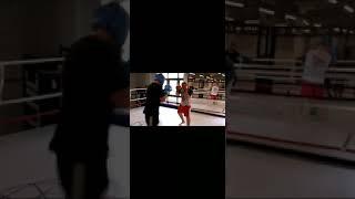 Богдан Гревцов Спарринг в Львином Сердце 2019 год