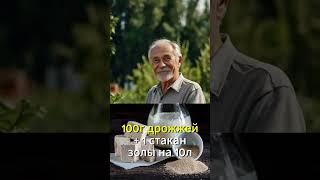 Чем заменить навоз? 3 рабочих варианта!