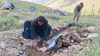 A beautiful way to plant vegetables for the use of nomadic mountain life