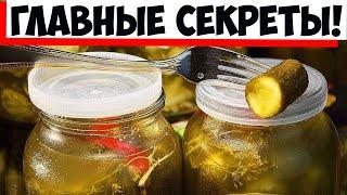 Кулинары перечислили главные секреты вкусных маринованных огурцов!