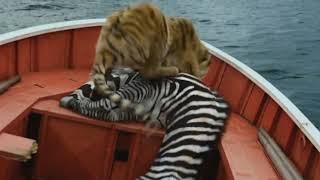 Life of pi best scene ( tiger hide in boat)