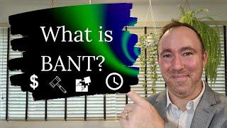 What is BANT? (Budget, Authority, Need & Timeline)