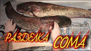 КАК ПРАВИЛЬНО РАЗДЕЛАТЬ СОМА!ЧТО ПРИГОТОВИТЬ ИЗ СОМЯТИНЫ!ГОТОВИМ СОМА!(Burke and cook catfish)