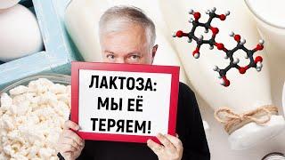 Лактоза - мы ее теряем