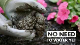 City of Kamloops - When to Water Lawns and Gardens