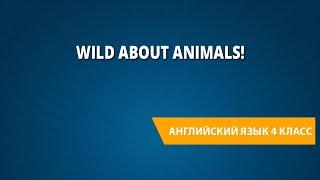 Wild about animals!