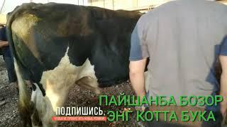 Пашанбе Гулакандоз Мол бозор  Энг котта бука