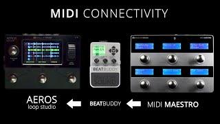 AEROS Loop Studio + BeatBuddy + MIDI Maestro - MIDI Connectivity