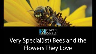 Very Special(ist) Bees and the Flowers They Love