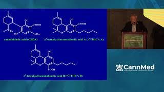 Keynote: The Chemistry Behind Cannabinoid Acids - Raphael Mechoulam