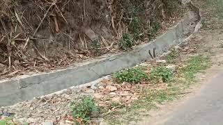 RULNGAN  PA LEH A NU .IN CHHAI\\ HMUHNAWM LUTUK...NGAIZAWL KAWNGKAM.....