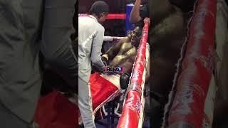 1️⃣brutal shot ended it all#daringsidereports #boxhardtv #ibox360 #trending #foryou #ringside