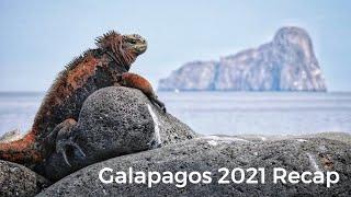 Galapagos 2021 Adventures with RetreaTours