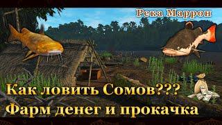 Fishing Planet. Как ловить Сомов? Фарм на Сомах (Река Маррон)