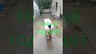 Uzboomtv