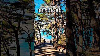 #강원도여행#화진포#고성여행  /  화진포  해수욕장