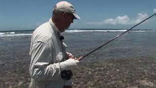 PECHE A LA MOUCHE EN MER