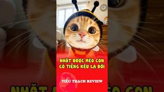 Nhặt được mèo con có tiếng kêu lạ đời #shorts