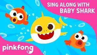 This Is the Shark’s Way | Sing Along with Baby Shark | Pinkfong Songs for Children