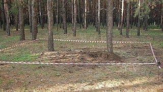 ОТКОПАЛИ В ЛЕСУ ПРОСТО ПОД ДЕРЕВОМ!ПАРНИ НЕ ЗНАЛИ,ЧТО ДЕЛАТЬ.