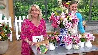 Roberta's 4pc Fragrant Roselily Live Bulb on QVC