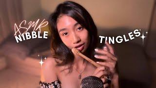 ASMR ~ INTENSE Tingles Coming Your Way | NIBBLE NOMS On Textured Items