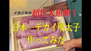 【小笠原】のメカジキの超巨大魚卵で日本一デカイ明太子作ってみた