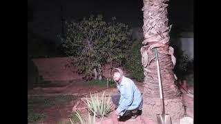 Field Medic - ... do you want me?