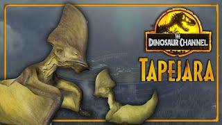 What Was The Tapejara? - The Dinosaur Channel