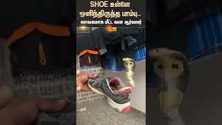 Cuddalore | Viral Shocking Video | Snake | Shoe | Public | Sun News