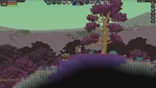 Starbound. Боевые питомцы. Старбаунд.