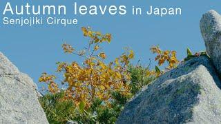 Autumn leaves in Japan -千畳敷カールSenjojiki Cirque- a cinematic travel short film - just see the scenery