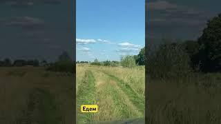 Едем  #shorts #short #shortvideo #trendingshorts