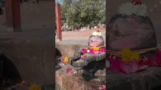 Shiv