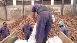 Copra Millers of Fiji Ltd - Skyward Video