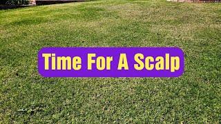 Scalp This And It Greens Up Faster  ~ Warm Season Lawn Care In Spring