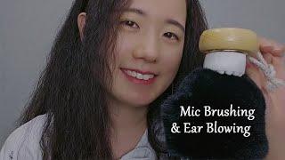 ASMR Fluffy Mic Brushing & Ear Blowing (1 Hour, No Talking)