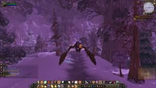 Quest 2078: Winterfall Runners (WoW, human, paladin)