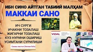 ТАББИЙ МАККАИ САНО ИБН СИНО ТАВСИЯ ҚИЛГАН МАЛҲАМ ХАҚИДА БИЛИНГ ХАТТО РОССИЯ ТАН ОЛГАН Сенны листья