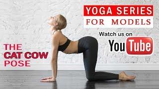 Cat Cow Pose in Yoga