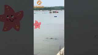 Cutter Suction Dredger is well used in client's dredging project.