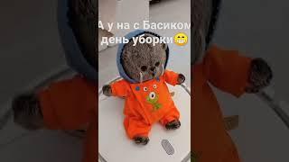 #басик #басики #котбасик #shorts У всех 8 марта , а у нас день генеральной уборки с Басиком