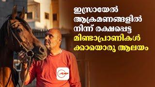 ഇസ്രായേൽ ആക്രമണങ്ങളിൽ നിന്ന് രക്ഷപ്പെട്ട മിണ്ടാപ്രാണികൾക്കായൊരു ആലയം