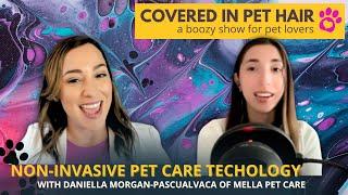 Mella Pet Products - The Future of Pet Care Technology